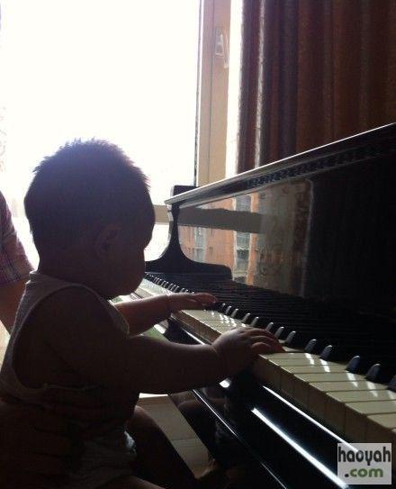 �˳������ﵯ�������ع�������ѧ��椼���