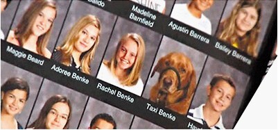 ������Ȯ������������ѧ4��ͬ�Ǳ�ҵ�ᣨͼ��