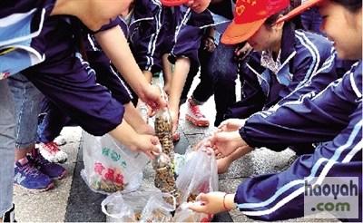 22位美女大学生公园捡烟头俩小时捡3764个(图)