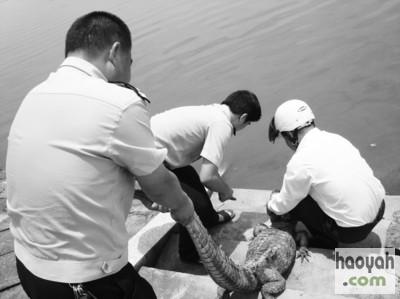 ������͵������Ѽ���������ؼҳ����⳥������