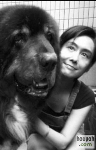 �ƹ��а�Ȯֵǧ����������Ͳ���������գ�ͼ��