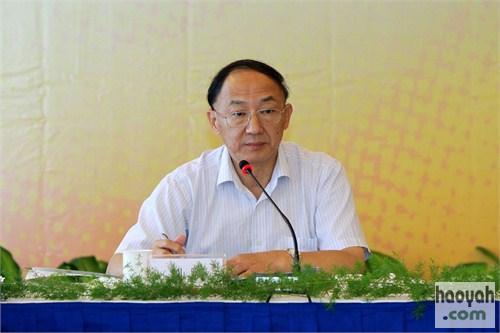 ��ý�����������˼ά�ᵼ����������