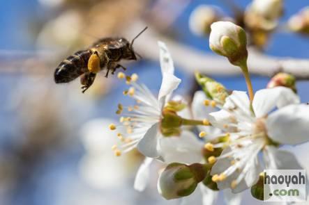 ��ѧ�߸����۷���ʹ����Я���Ƽ�����ӣ�Ҳ��溦