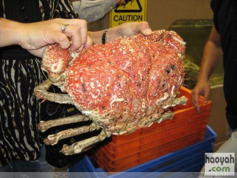 �������μ�7-Ϥ�����ڹ۹⣨D7�� - ǧ��һ�� - ����ǧ�����һ��